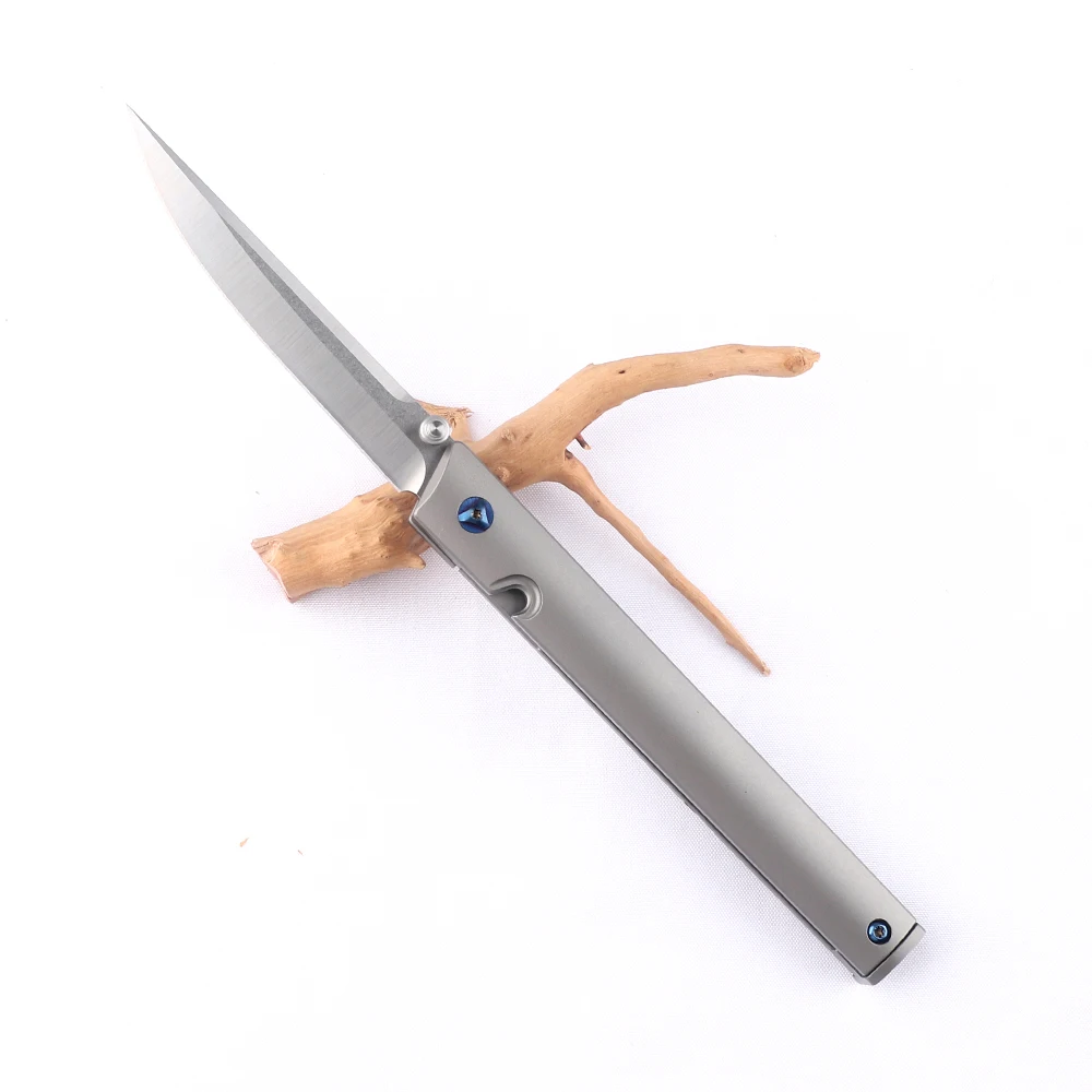 NINE THORN Mini Outdoor Folding Knife D2 Blade Titanium Handle Pocket Knife, Fruit Knife Tool