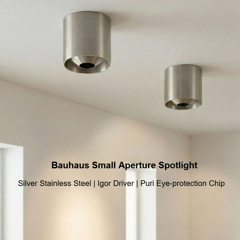 Vintage Bauhaus Ceiling Led Lights Surface Mounted Entrance Corridor Aisle Bar Cloakroom Home Decor Spotlight silver Ceiling