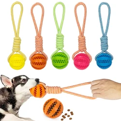 Dog Ball Toy with Rope Interactive Leaking Balls for Small Large Dogs Bite Resistant Chew Toys Puppy Training Pet Accessories