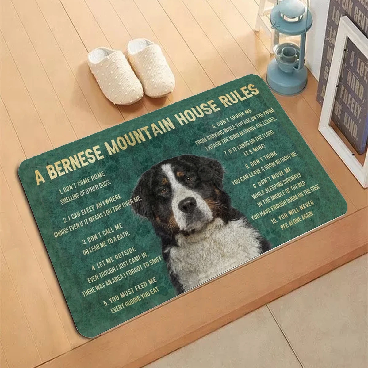 Welsh Springer Spaniel Carpet Entrance Doormat Non-slip Living Room Kitchen Bedroom Decor Rug Dogs Pet Floor Mats