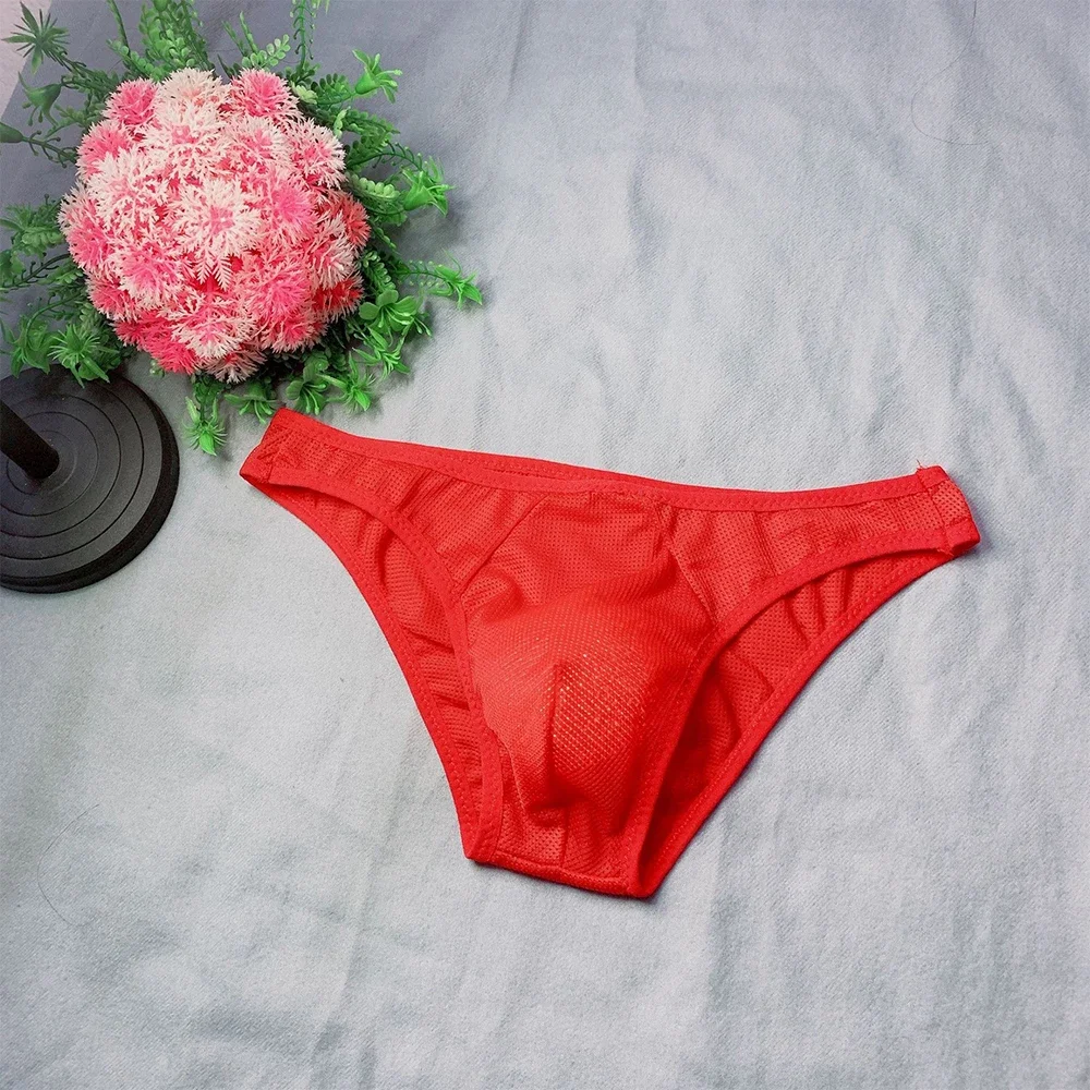 Kleidung Herren Höschen Homosexuell Knickerfs Dessous Mesh Panty Durchsichtig. Spitze Sexy Slip Elastische Erotische Einfarbig