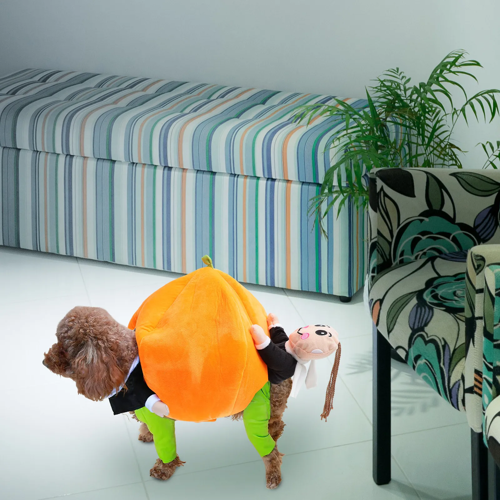 

Halloween Dog Costume Xl Pumpkin Style Carrying Design Comfortable Easy on Off for Holiday Events Dog Halloween Costumes