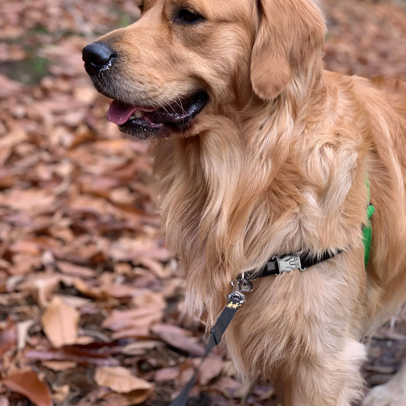 5Pcs Silver Side Release Buckles 20Mm Flat Metal Buckle for Survival Bracelet Backpack Harness Belt Webbing Fastener