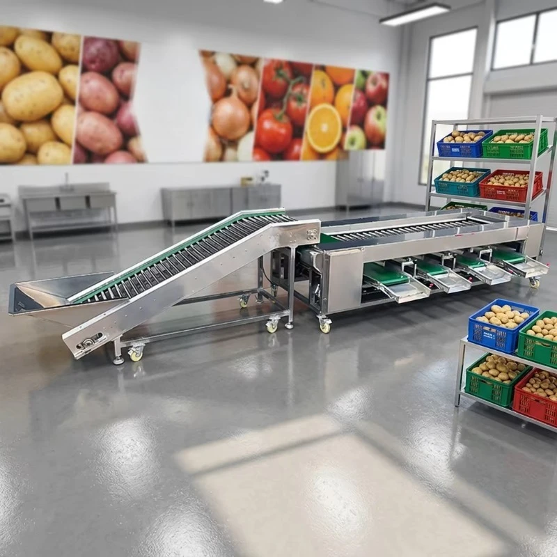 Factory Supply Roller Sorting Machine Round Fruit Vegetable Size Grader for Avocado Lemon Orange