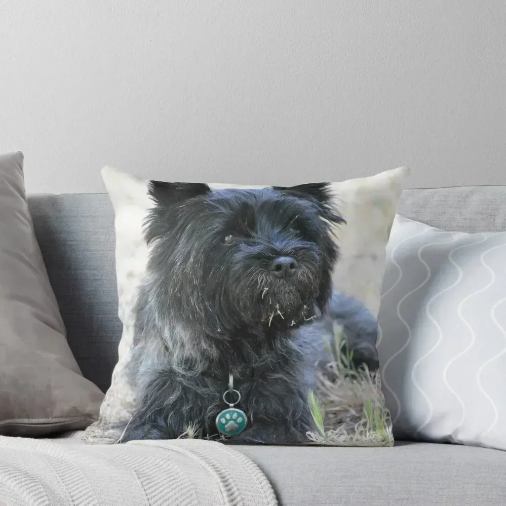 Cairn Terrier Throw Pillow Custom Cushion Pillowcase Cushion Luxury Sofa Cushions pillow