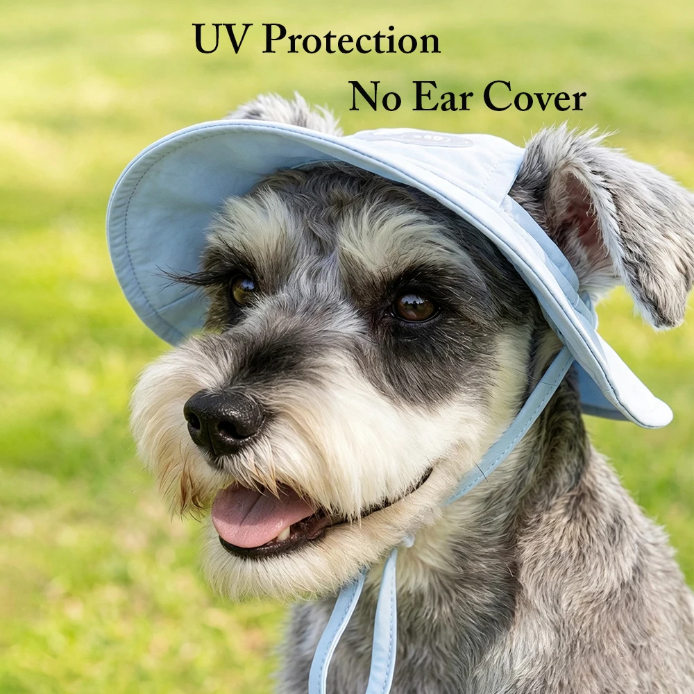 Thumbnail 2 - #19 Dog Apparel Discount Picks