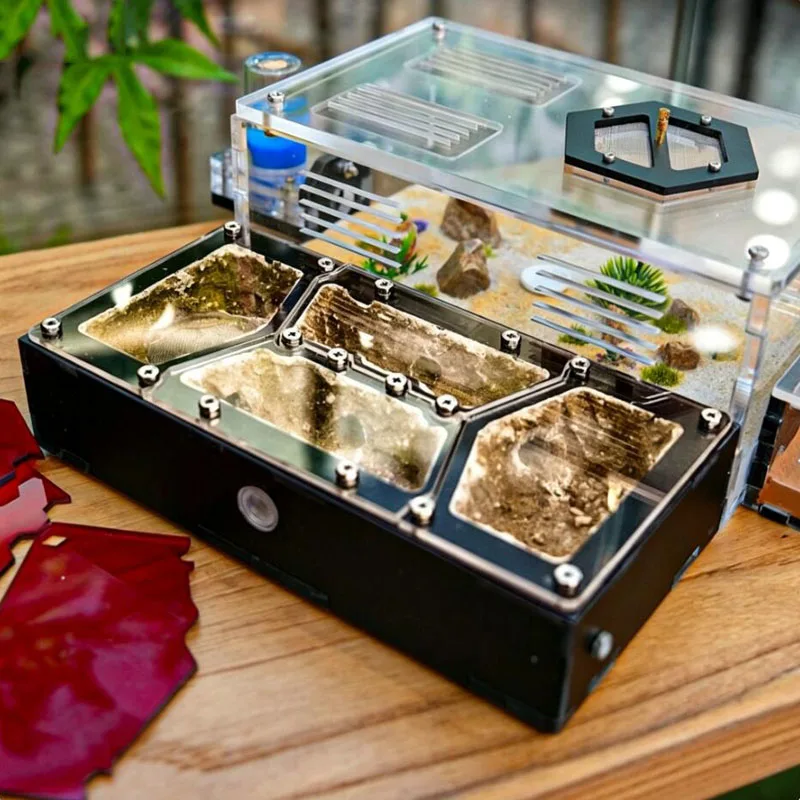 Harvester Ant Farm Ecosystem Pet Workshop Observation Habitat with Nest Waste Area Water Feeder And Tool Kit Included