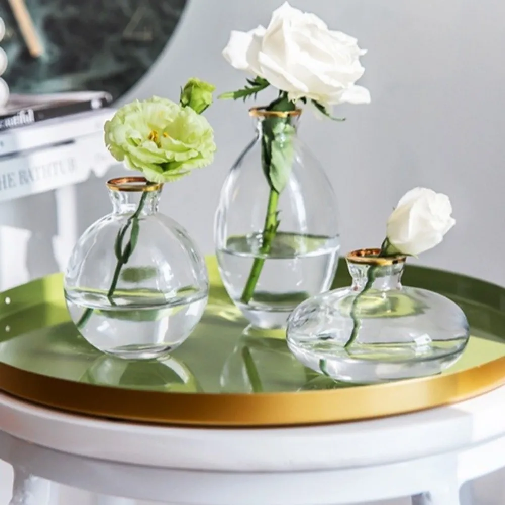 3PCS Nordic Style Transparent Glass Vase Transparent Water Nourishing Hydroponic Vase Minimalist Small Plant Pots Kitchen