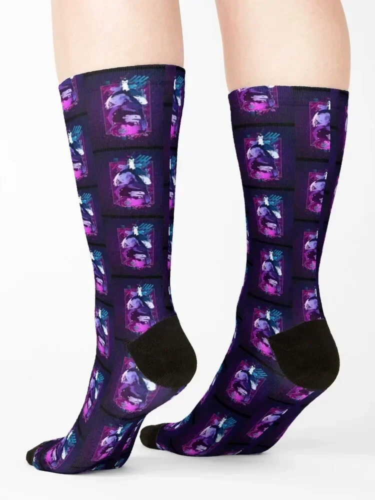 Rain World Modern Graphic Socks funny sock custom sports cool set Socks For Girls Men's