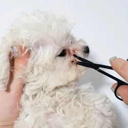 Pet Eye Grooming Brush Gentle Tear Stain Remover Hair Detangler Ambidextrous Design Pet Hair Remover Dog Brush For Grooming