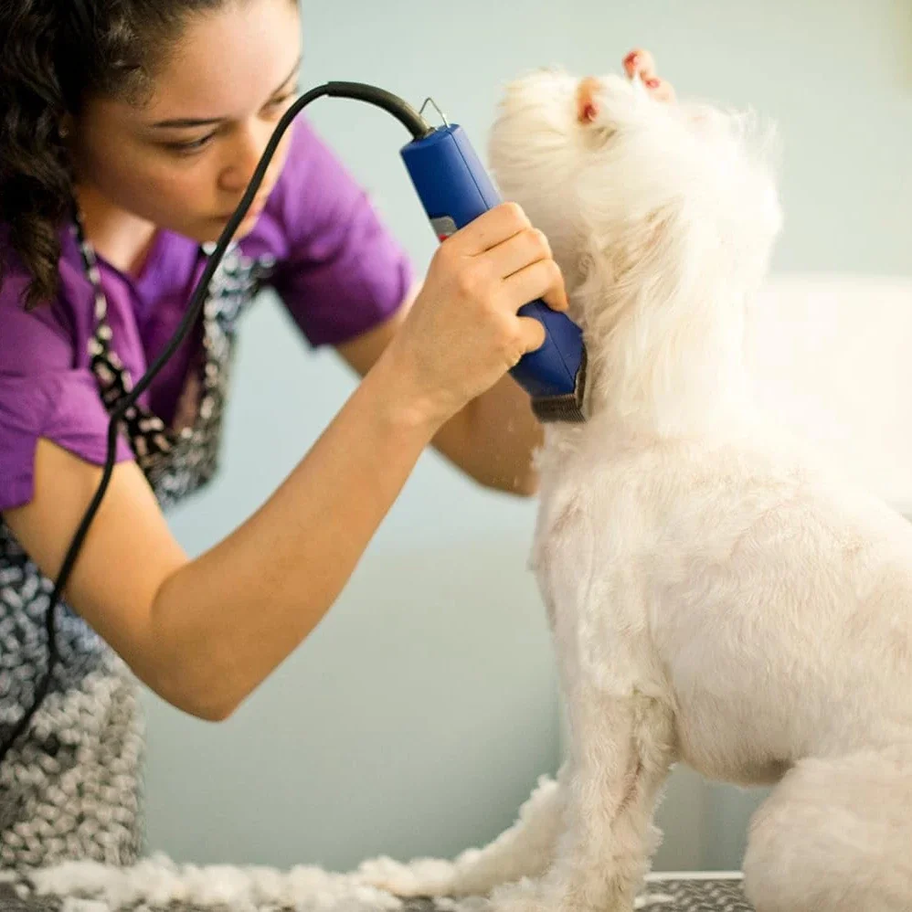 Pet Dog Cat Ceramic Detachable Blade Compatible With Most Andis /Oster A5,Classic 76/Wahl KM Series Professional Animal Clippers - view 3