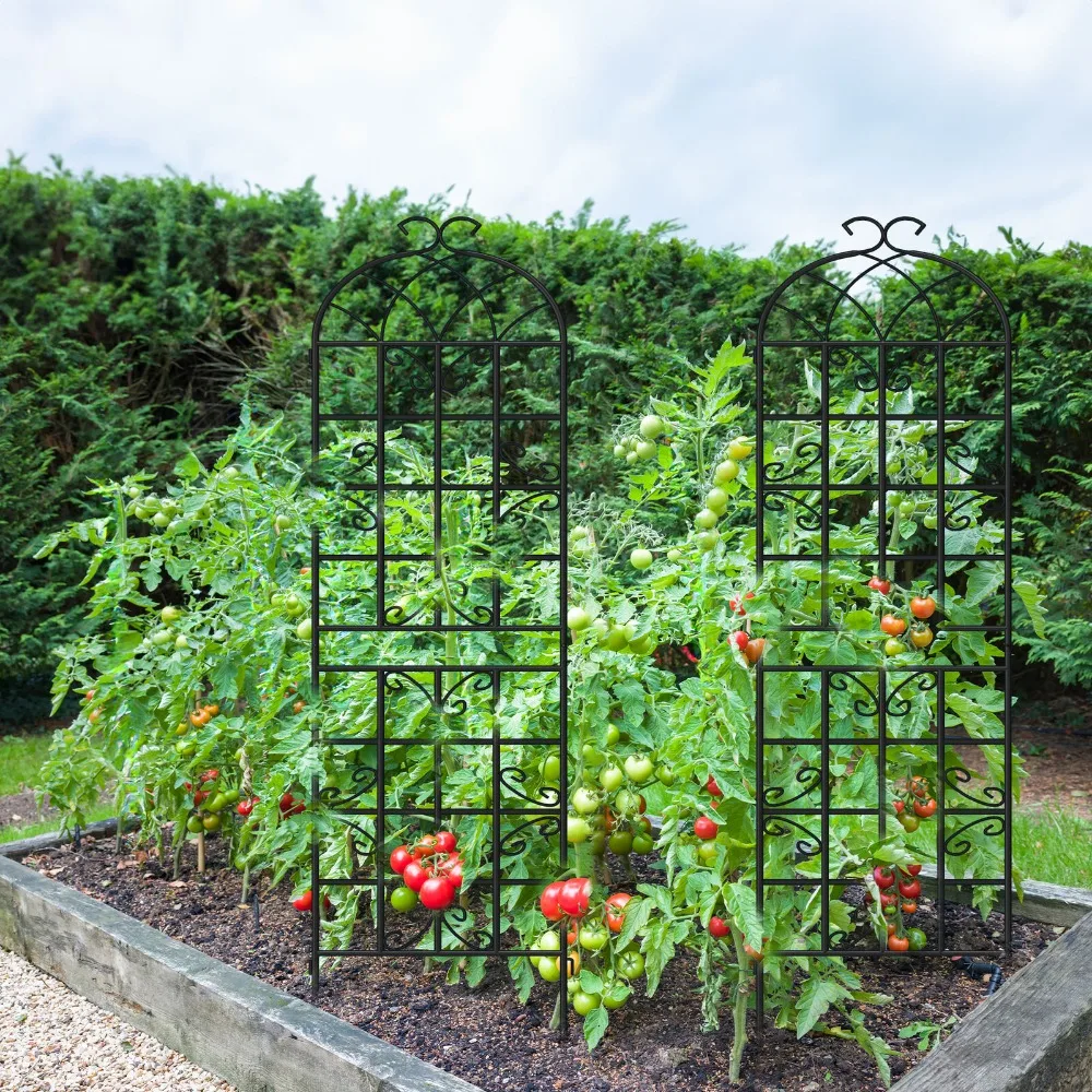 

4 Packs Metal Decorative Garden Fencing Trellis for Climbing Vegetables Flower