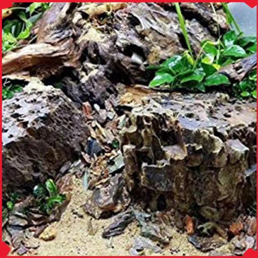 

B17B 12X Large Natural Driftwood Branches Reptiles Aquarium Fish Tank Decoration Fish Tank Cave Hideout Wood Decor Driftwood