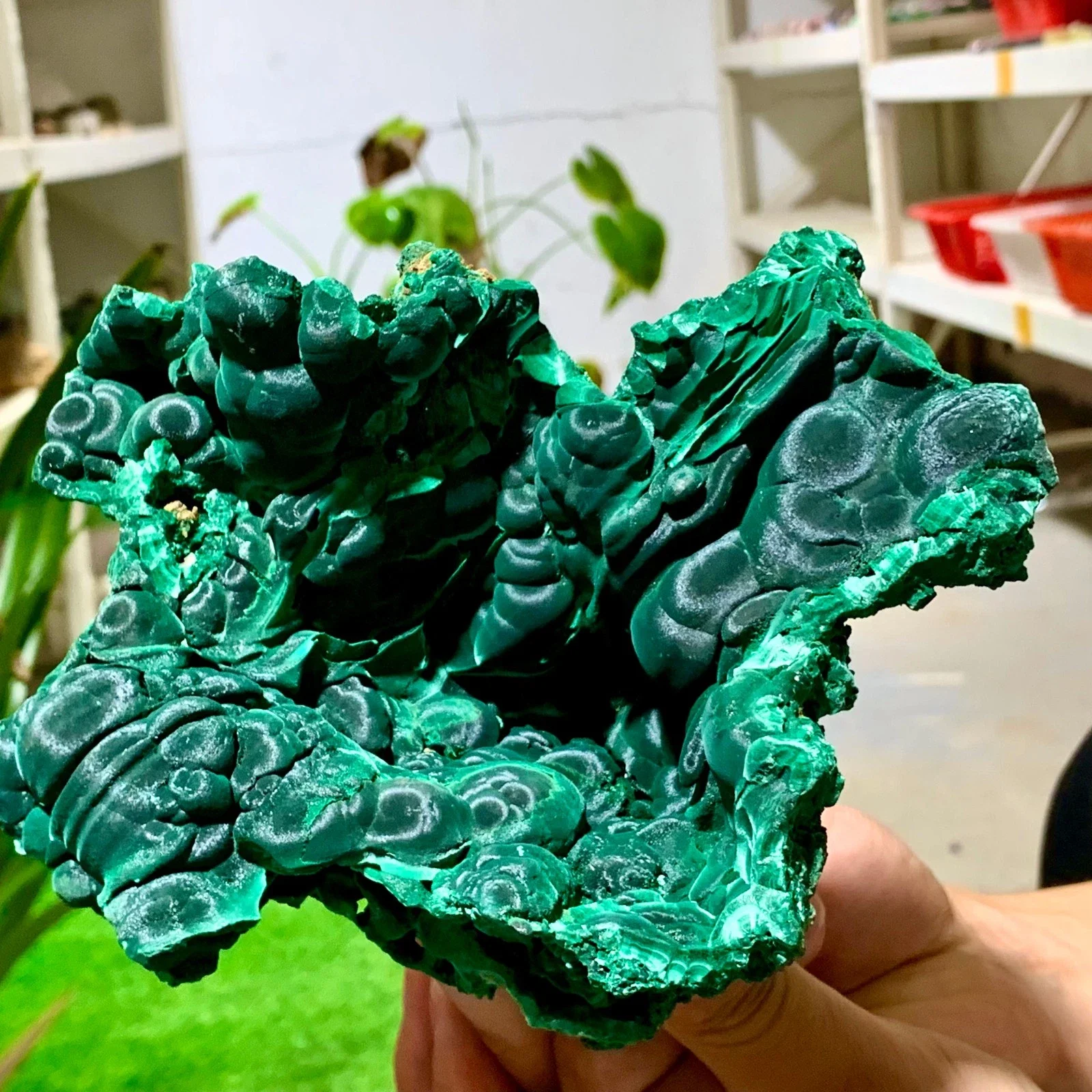 الملكيت المخملي الطبيعي، مجموعات كريستال من الحجر الخام الكريستالي، أحجار كريمة للطاقة مع خصائص الشفاء الروحي، العرافة #5