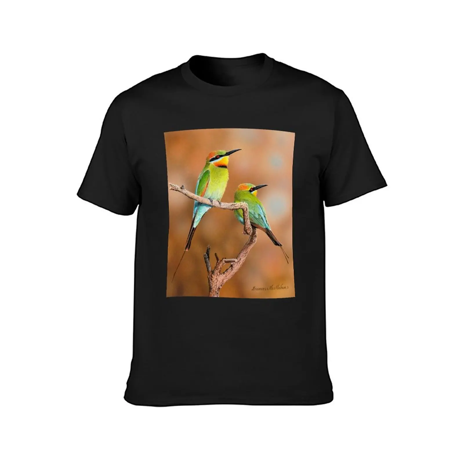 Warmth (Rainbow Bee-eaters) T-Shirt cute clothes Short sleeve tee T-shirts for men cotton