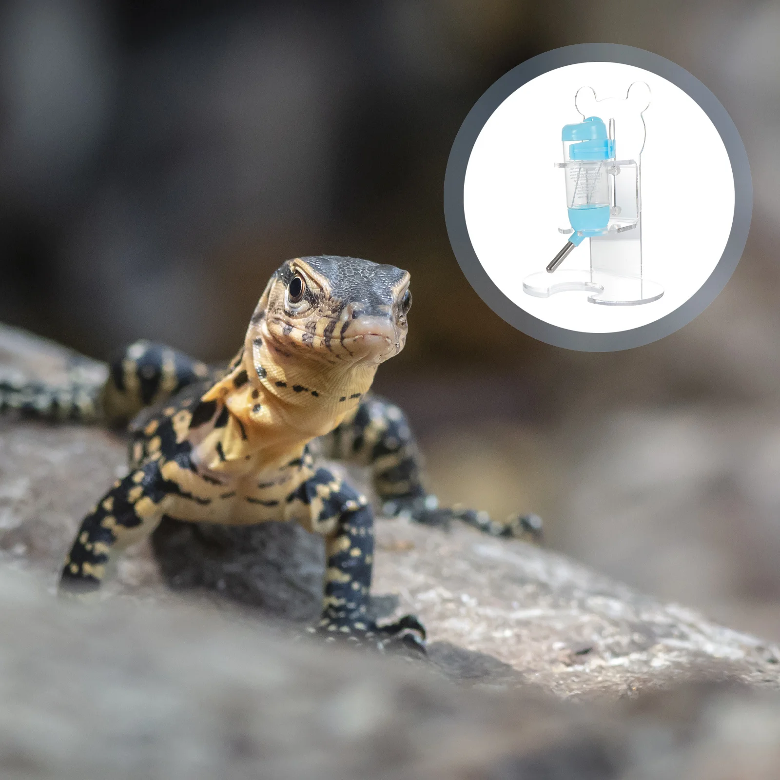 

1 Set Rabbit Water Dispenser Pet Drinking Bottle Transparent Acrylic Stand Leak-Proof Hamster Waterer Cage Accessories Vertical