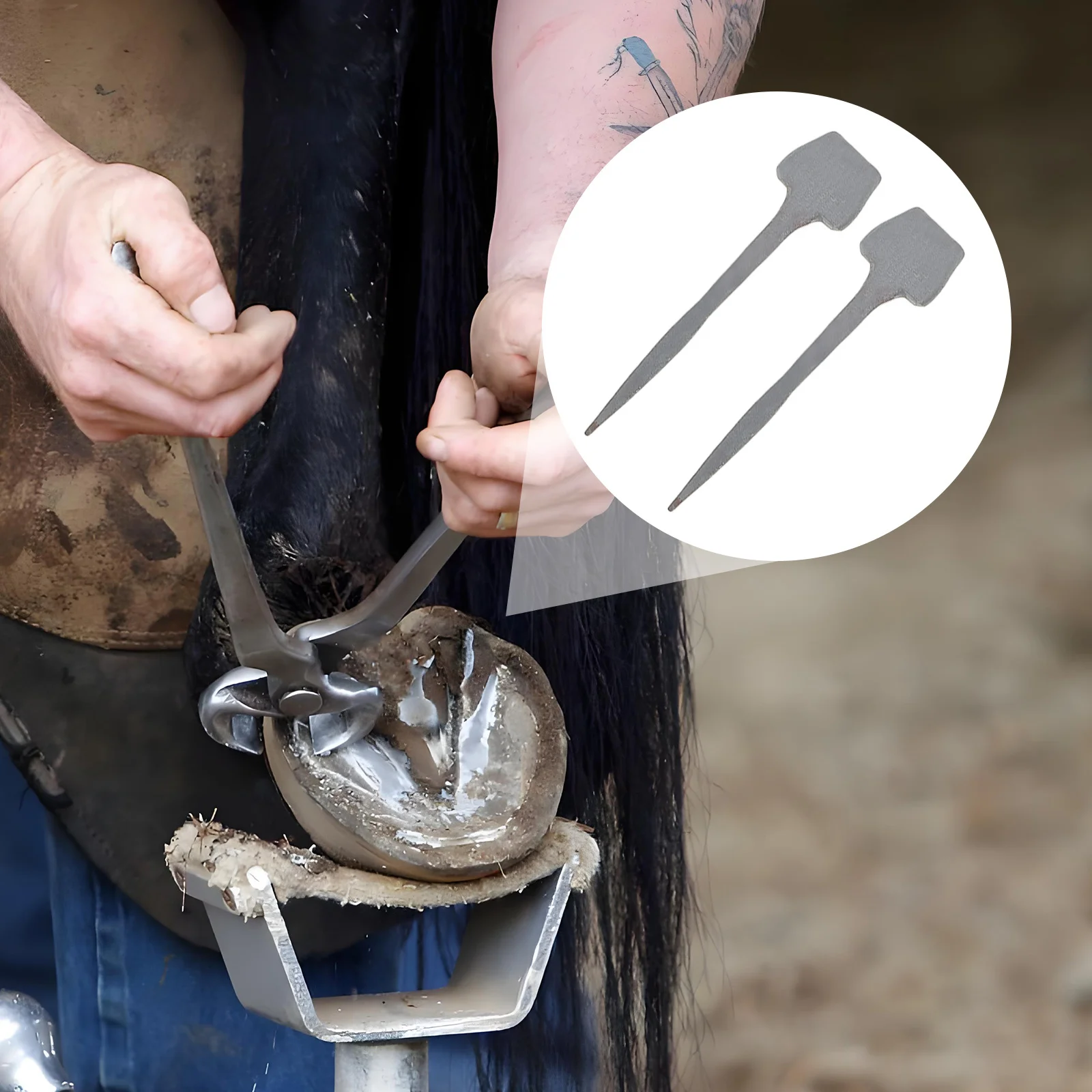 

10Pcs Horse Shoe Nails Reliable Fixation Smooth Driving Iron Hoof Nails for Equestrian Stable Maintenance Horseshoe Nail