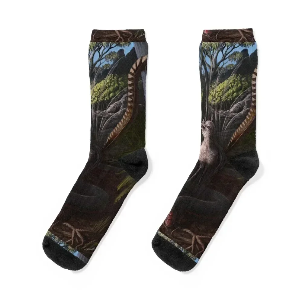 

The Lyre and the Serpent Socks luxury cool Antiskid soccer Designer Man Socks Women's