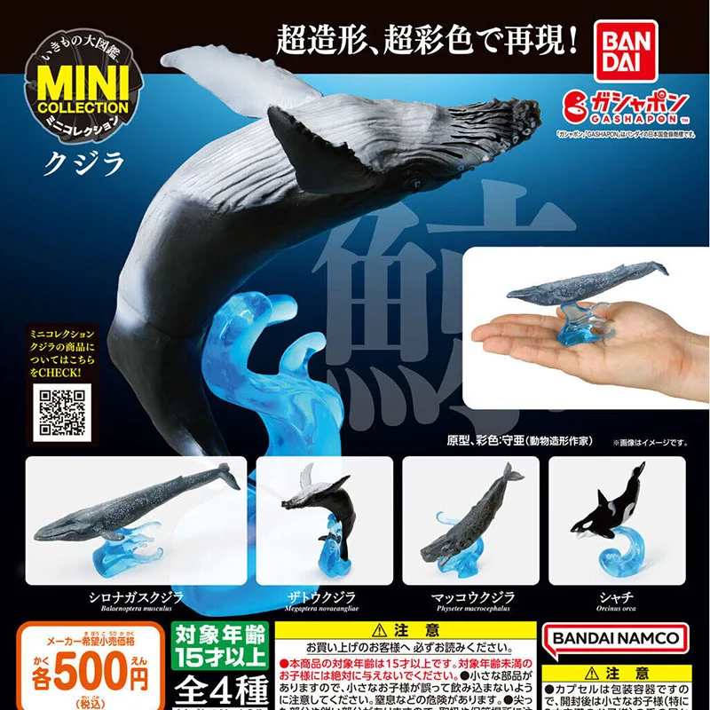 

Spot Goods, Official Japanese BANDAI Gashapon, Whale Encyclopedia 5, Blue Whale, Orca, Marine Life Models, Desk Ornaments, Toy