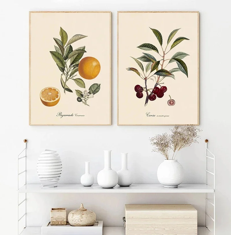 Vintage Botanical Fruit Lemon Prune Orange Vintage Posters and Prints Wall Art Canvas Painting Wall Pictures Kitchen Decoration