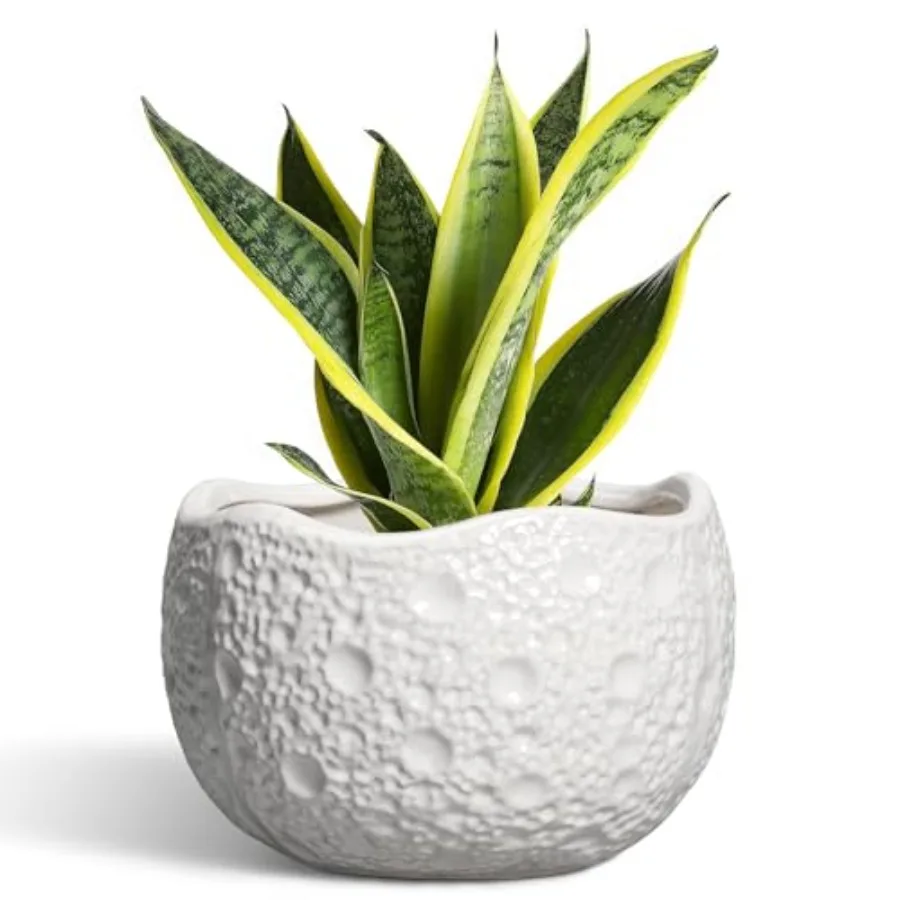 Ceramic Plant Pot -…