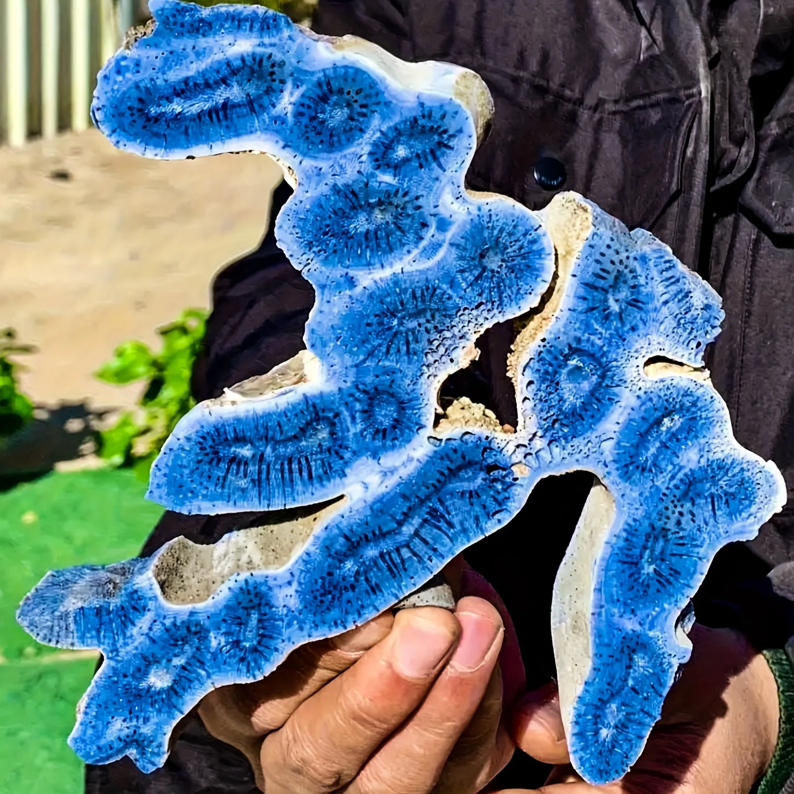 

1pc Blue Sea Coral Stone Slice with Unique Swirling Patterns - Bohemian Ocean Theme Decor for Aquariums & Home, Holiday Gift