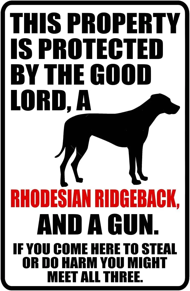 Vintage Metal Sign Warning This Property Is Protected By The Good Lord A Rhodesian Ridgeback Dog Metal Tin Sign Aluminum Sign Fo