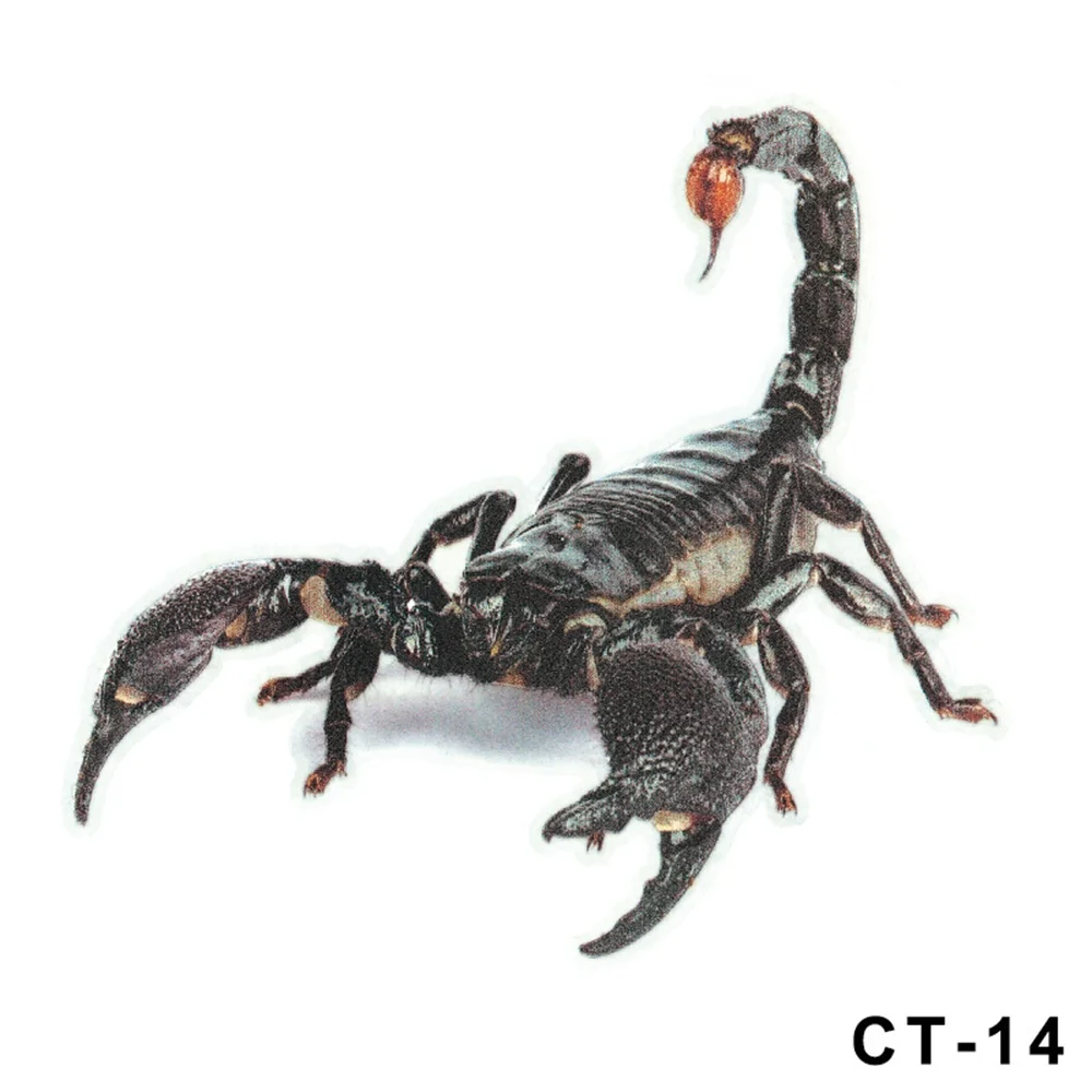 Spider Lizard Scorpion Car Sticker 3D animal pattern Vehicle Window Mirror Bumper Decal Decor Water-resistant High stickiness