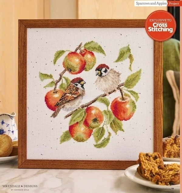 Cross Stitch Kits Cross stitch Aida embroidery Threads for embroidery Set Sparrow and Apple 34-35