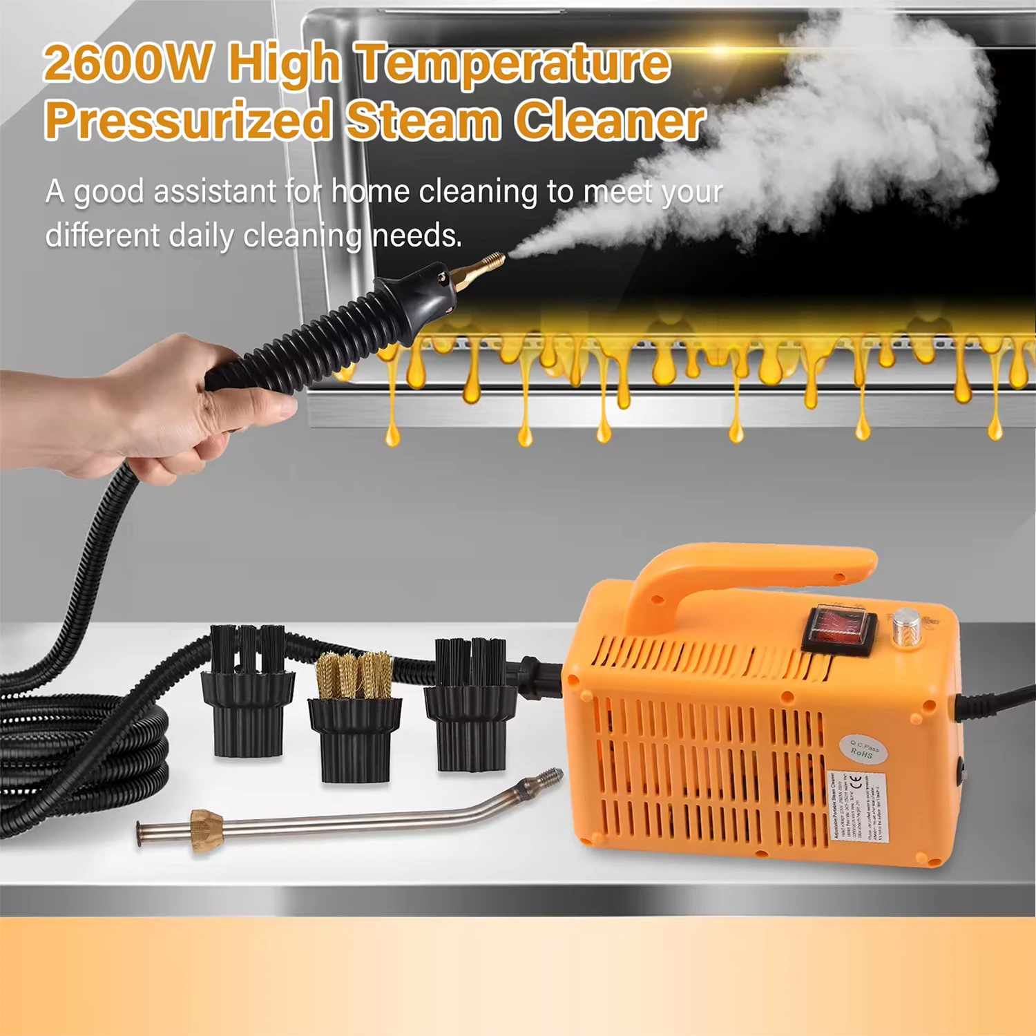 2600W Home Steam Cleaner High temperature Jet Washer Range Hood for Kitchen Air Conditioner Car Steam Cleaning Machine Vaporizer