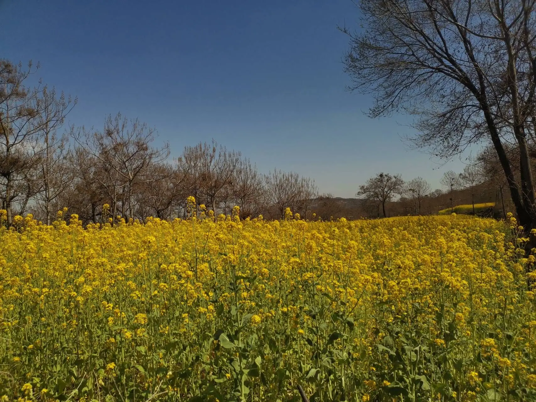 미니 4WD 중간 지름 휠 타미야 미니 4WD용 자체 제작 부품 알루미늄 디스크 포함 컬러 휠 1/32 스케일 L018 1세트/로트