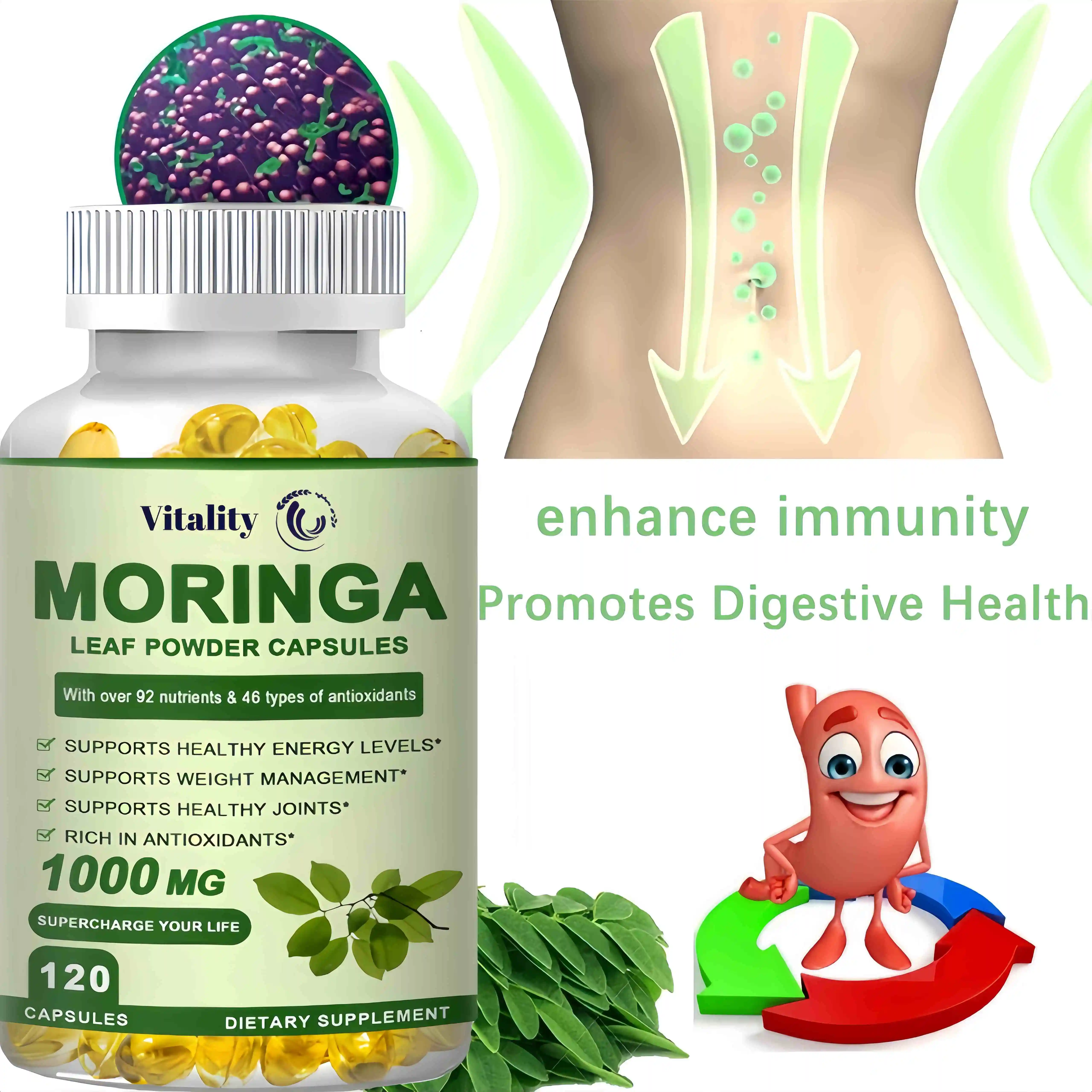 Natural Moringa Cápsula Composto para lipídios, Vitamina e vitamina, Suplemento de aminoácidos, Açúcar no sangue e antioxidante