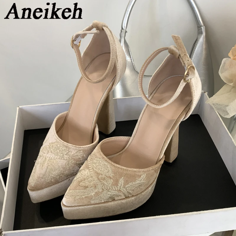 Aneikeh Spring Fashion Embroidered waterproof Platform Stiletto High Heels  Nightclub Stripper Buckle Strap Shoes Pumps Woman