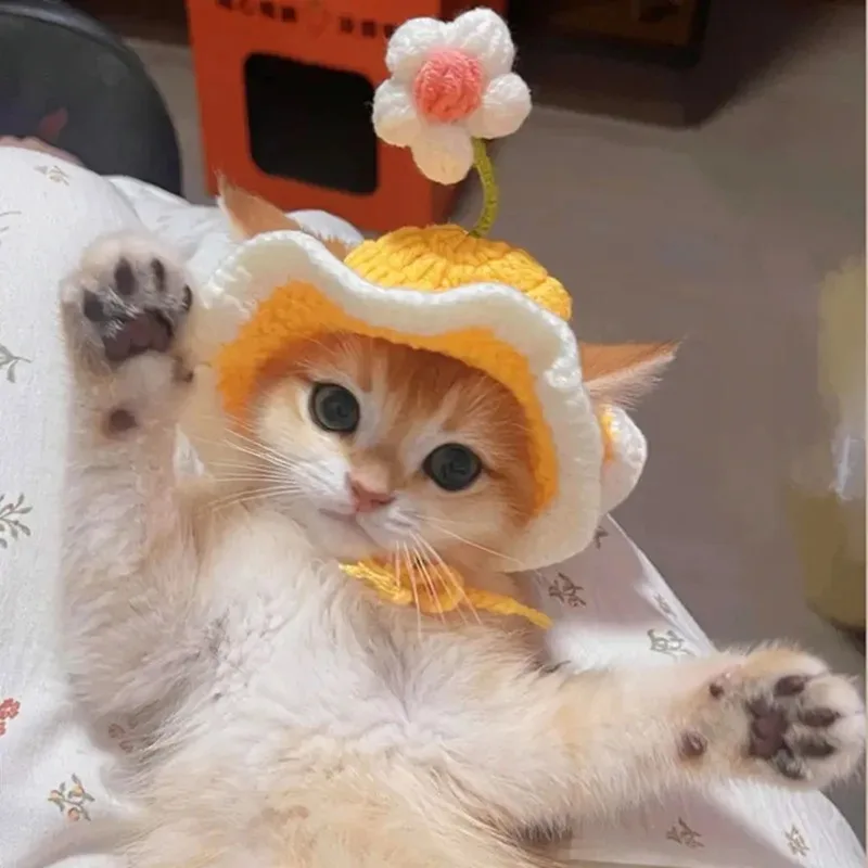 ZUJOLY قبعة قطط لطيفة قابلة للتعديل قبعة مرنة للحيوانات الأليفة للقطط والكلاب الصغيرة وأغطية الرأس مع زهور صغيرة لتزيين صور الحفلات