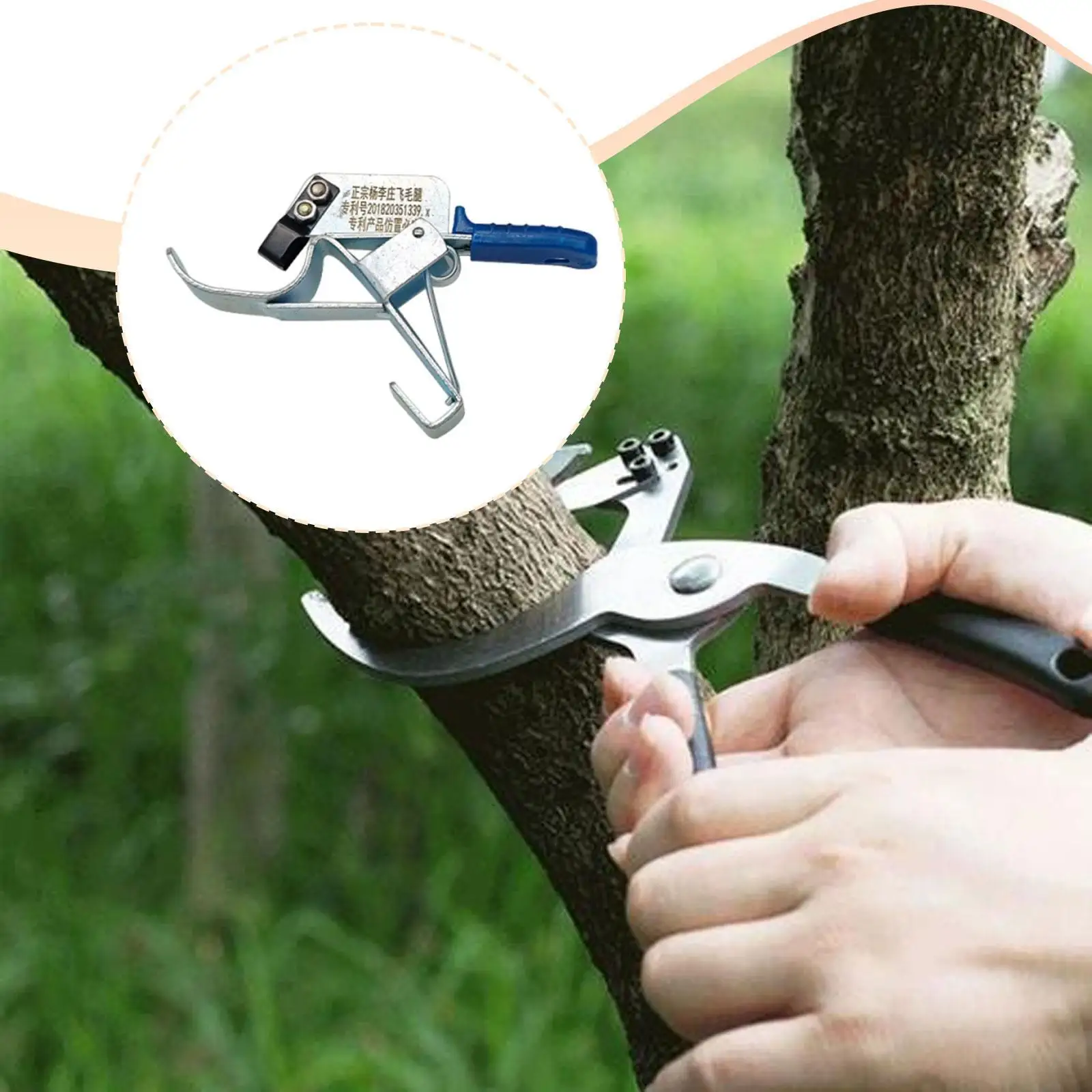Tree Bark Remover Premium Steel Garden Tool Easy to Use for Orchard Fruit Tree Pruning and Maintenance
