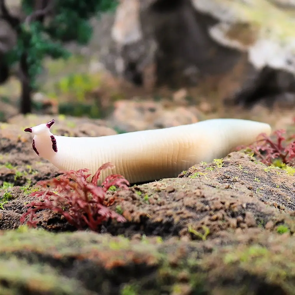 Figurine d'animal d'océan préhistorique, Simulation de la vie Marine Nautilus, Collection éducative de figurines de Trilobite ancienne