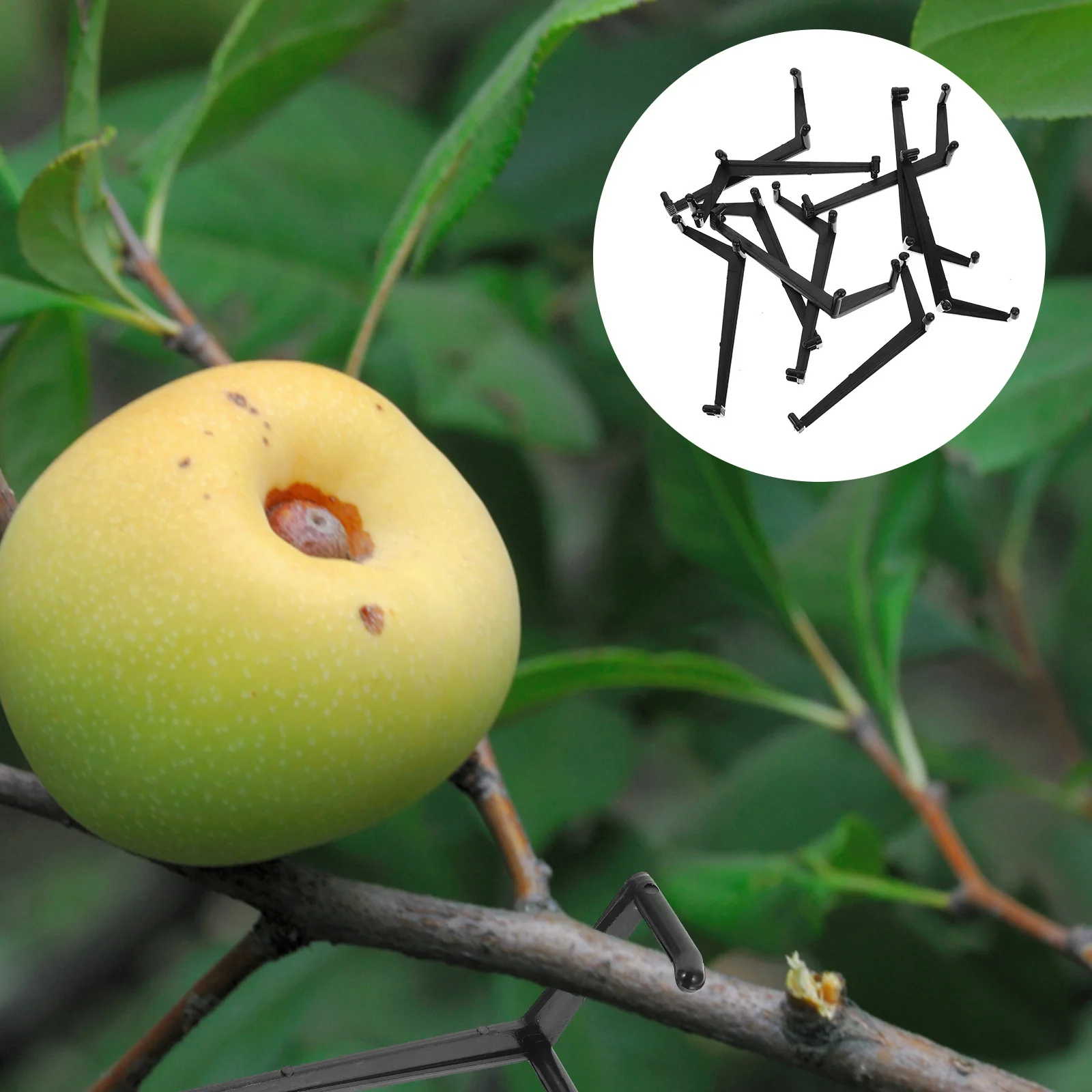

10 Pcs Branch Shape Tool Reusable Plants Clips Support Twig Bending Faux Greenery Trainer Bonsai Accessories Branches Trainers