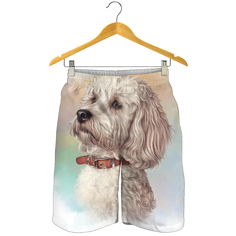 Calça curta masculina com estampa animal de estimação fofa, animal Beach Shorts, calção infantil férias de verão, calções de pranchetas para surf