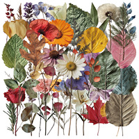 50Pcs Cute Plant Stickers Plant Specimen Decals For Phone Laptop Suitcase Notebook Skateboard Waterproof Sticker