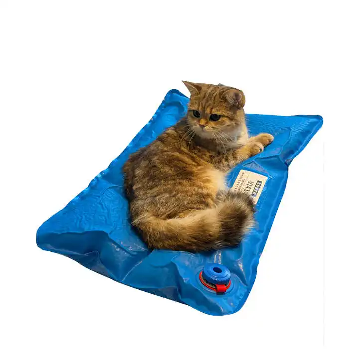 

Small 60CM X 40CM Veterinary Examination Fixed Pad Animal Surgical Accessories Pet Vacuum Positioning Mat for Care Room Use