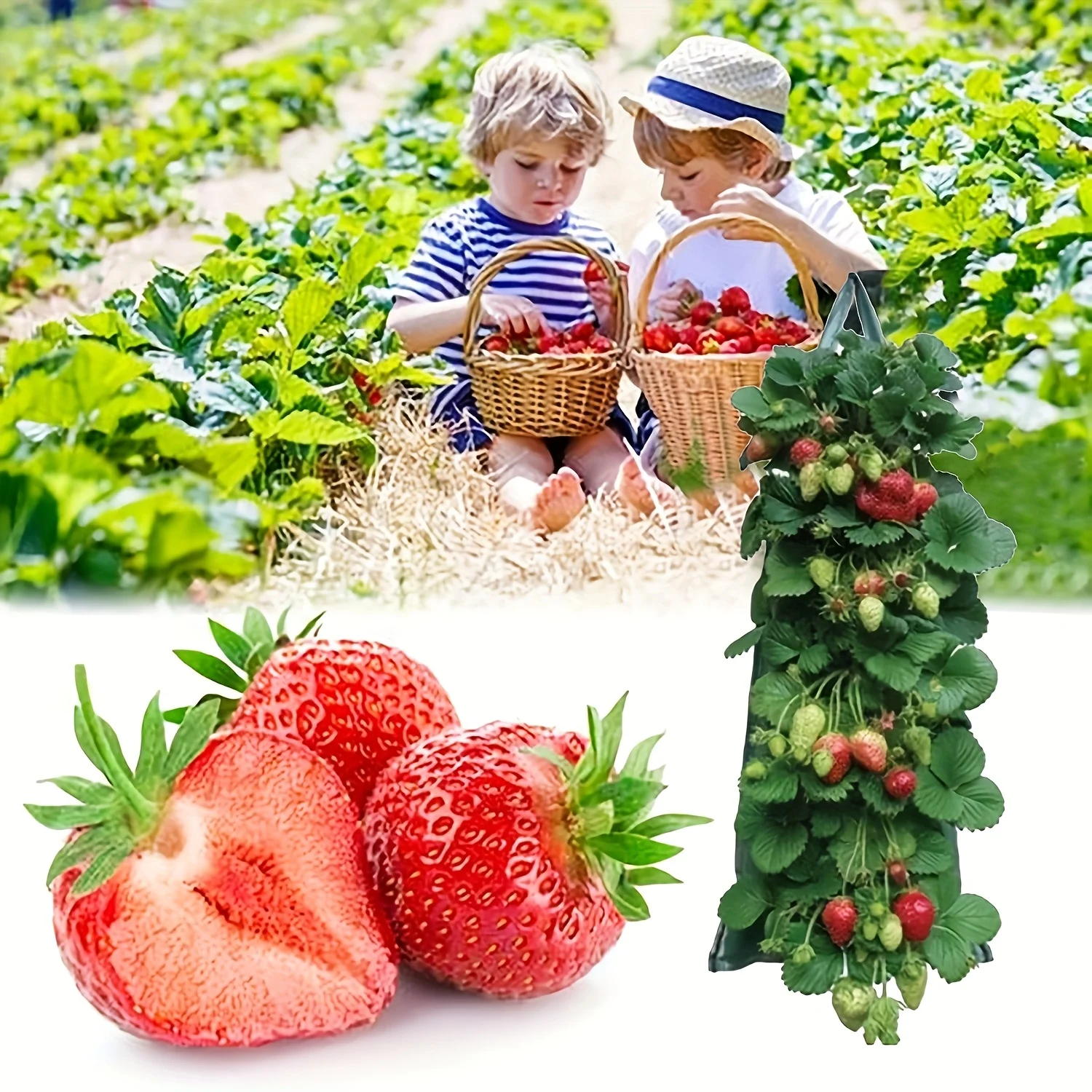 3pcs Hanging Plant Bags with 8 Holes for Strawberries, Multi-Pocket Perforated Grow Bags for Home Fruit Cultivation & Garden Use