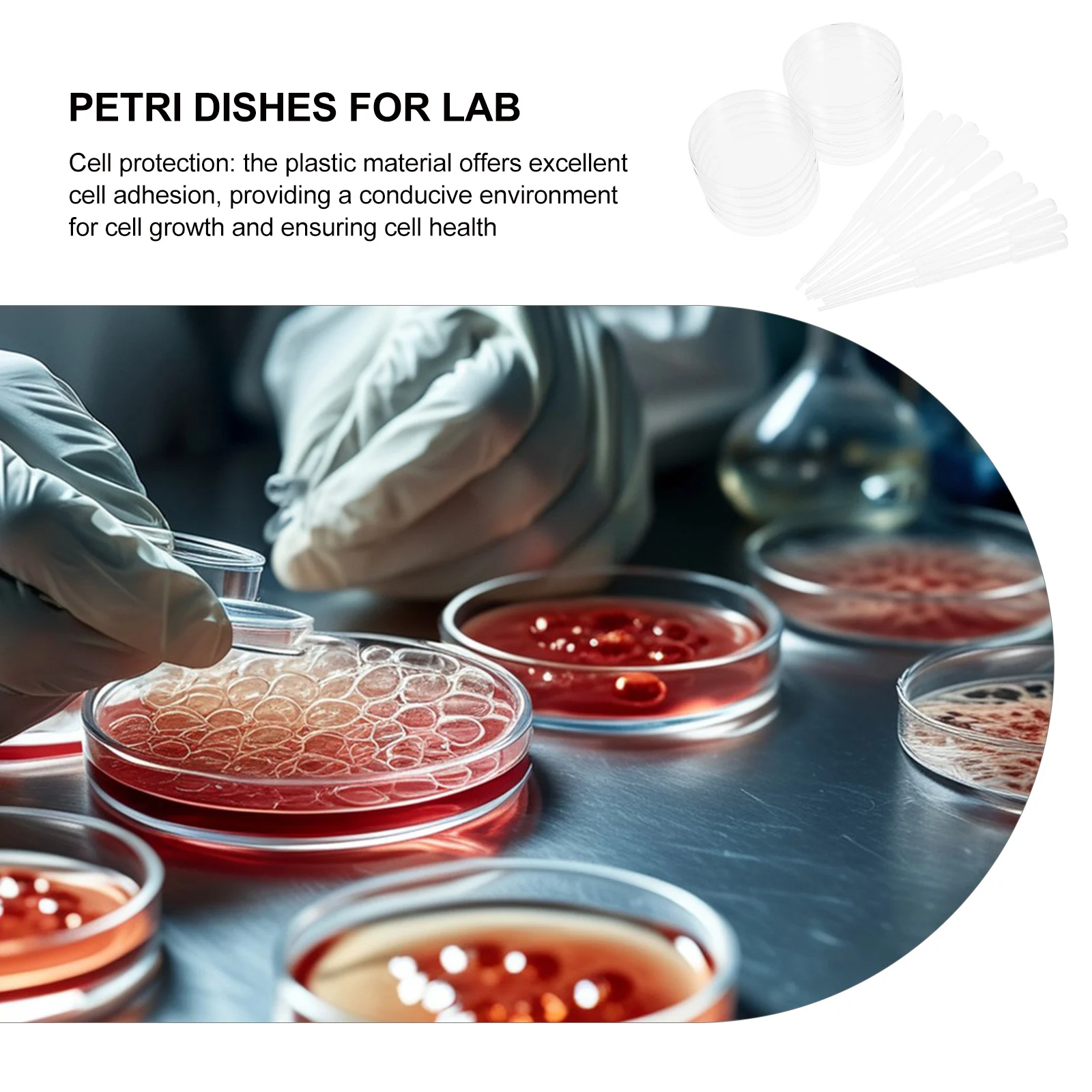 

Plastic Petri Dish Cell Culture Mini Dishes for Lab Experiment Transfer Pipettes