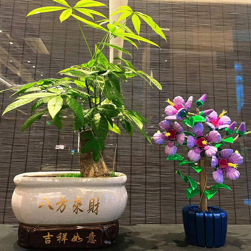 مجموعة BOTANICAI مجموعات مكعبات بناء زهرة الكركديه 10372 متوافقة مع Legoed مناسبة لهدايا عيد الميلاد، 660 قطعة #6