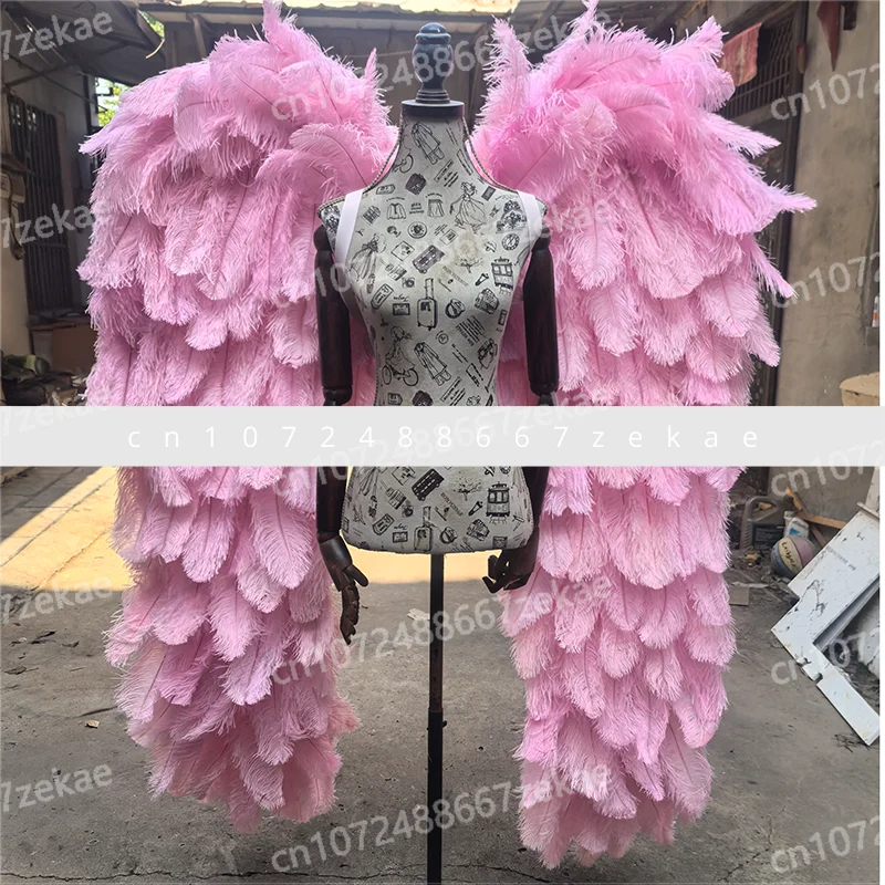 

Rouge pink angel wings ostrich hair photo photo window performance model software