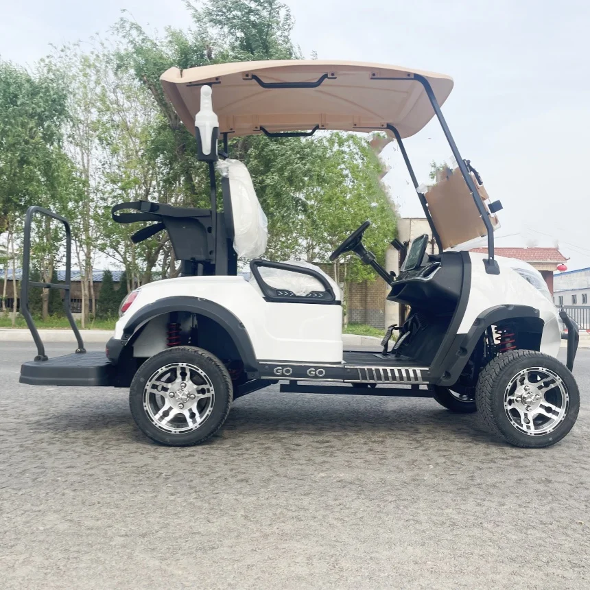 

New Style Electric Golf Cart Suitable For Travel Club Tour Car With Lithium Battery Side Mirror With Turning Light Backup Camera