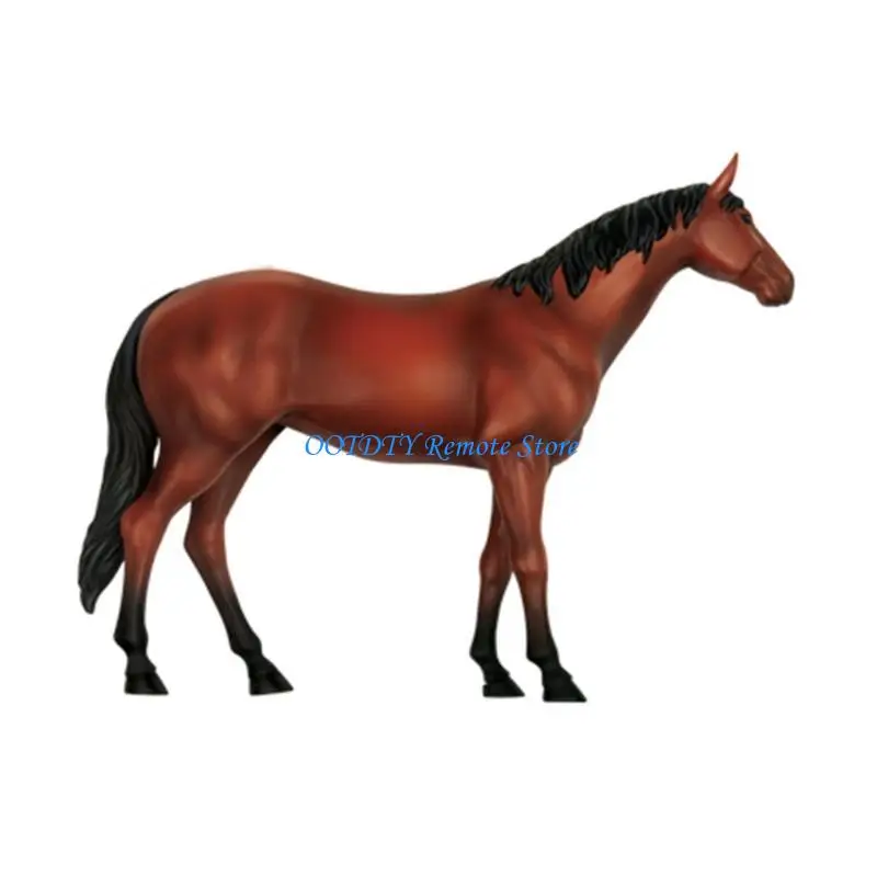 Modelo anatomía del caballo con órganos y partes del cuerpo extraíbles para enseñanza médica para niños, modelo realista