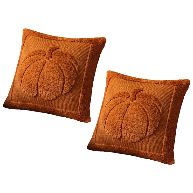 

Faux Leather Cushion Covers Soft Plush 2-Pack Fall Pillow Covers Beige Pumpkin Embroidered Cushion Covers