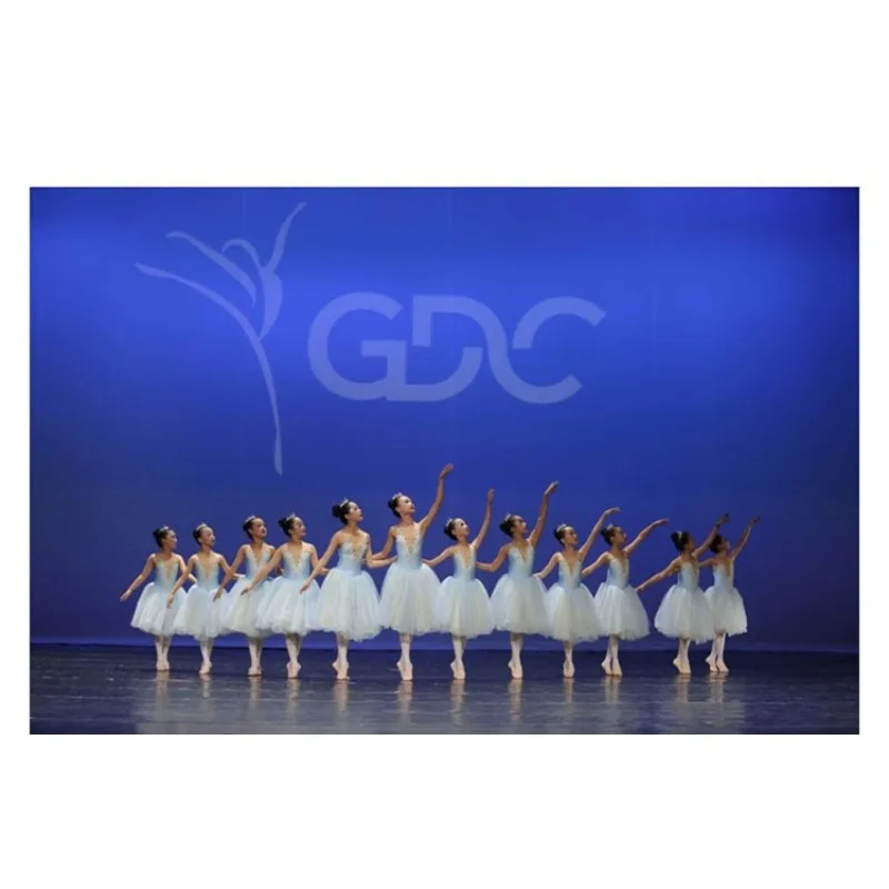 ชุดบัลเล่ต์เด็ก ชุดแสดง กระโปรงยาวพลิ้ว ชุดเต้นรำเด็ก เสื้อทรงเจ้าหญิง สายคล้องคอ สีฟ้าอ่อน กระโปรงพอง