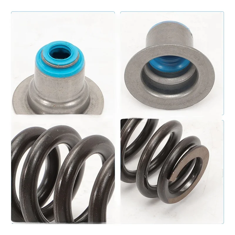 Gruppo molla valvola con guarnizione a cappello per BTR LS6-Style per alveare per parti di ricambio BEE HIVE 12713265 12499224.560