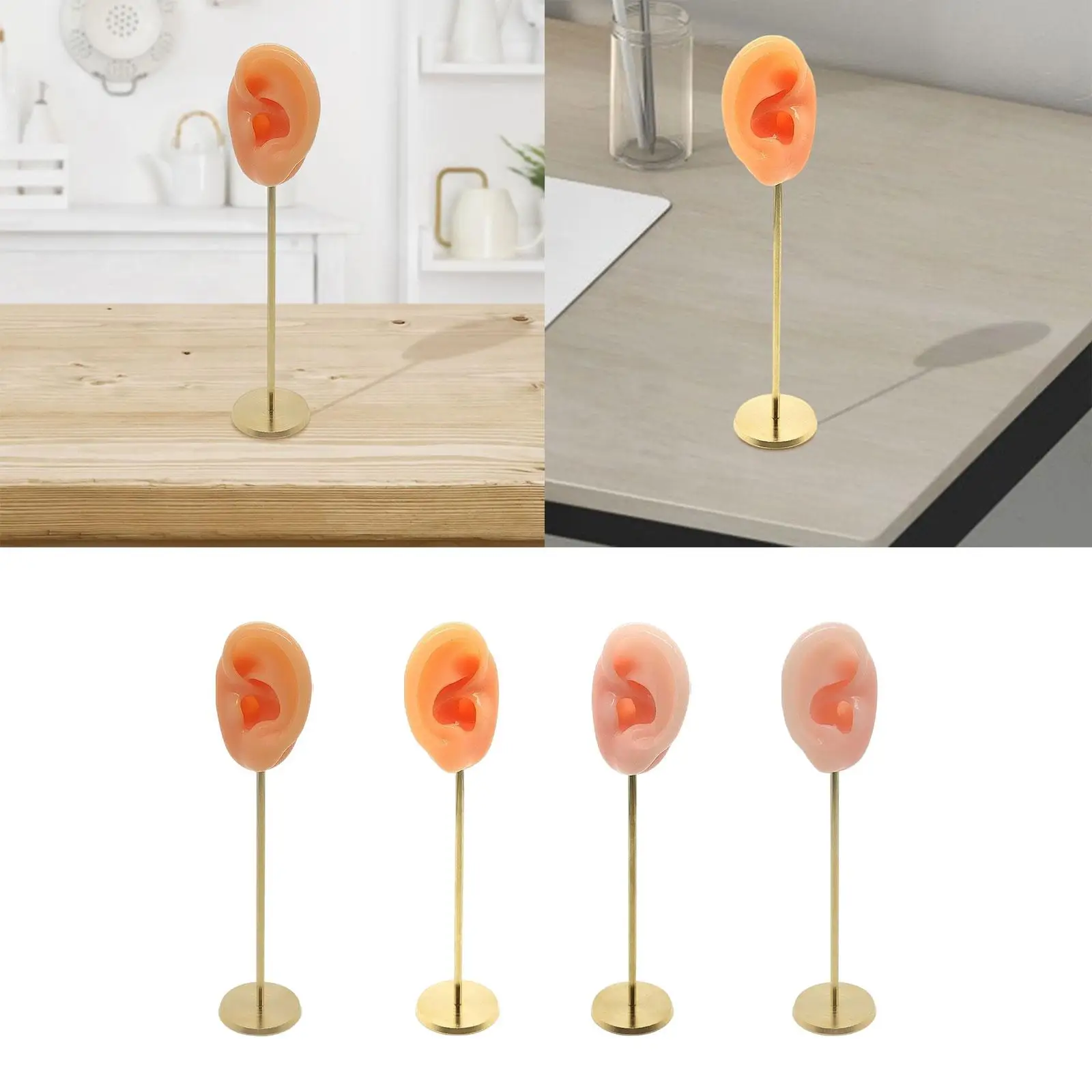 محاكاة سيليكون قوالب الأذن البشرية التصوير عرض الدعائم سماعات الأذن عرض موقف الأذن نموذج مسمار حامل عرض نموذج #3